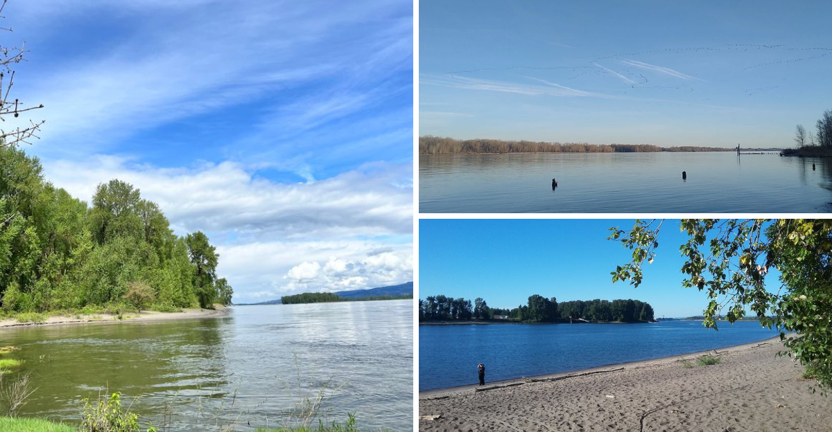 This Dreamy Island In Oregon Is The Peaceful Escape You Didn’t Know You Were Missing