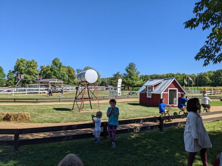 The 7 Minnesota Apple Orchards Where Fall Weekends Are Worth The Whole Drive