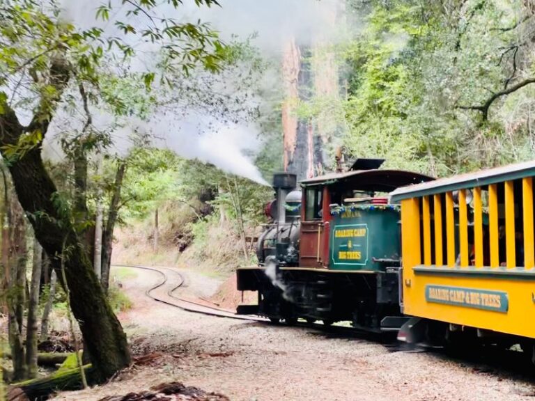 This Scenic California Train Ride Is One Of The Most Magical Experiences In The State