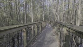 This Massachusetts-Style Storybook Trail In South Carolina Feels Like Walking Through A Classic Fairytale