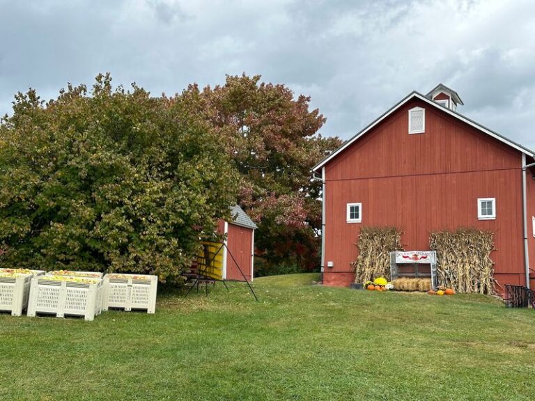 These 8 Ohio Cider Mills Press Fresh Apple Cider And Hot Donuts Every Fall