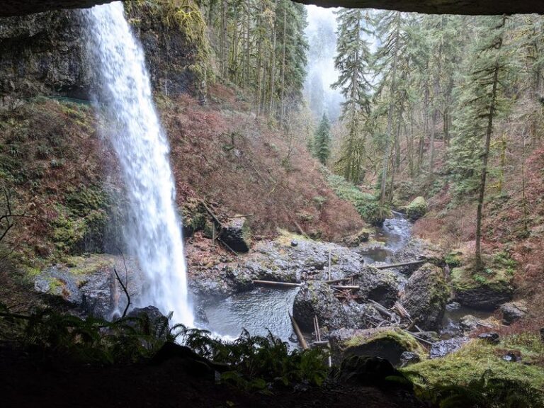 This Hidden Oregon State Park Is Where Old-Growth Forest And Quiet Trails Come Together