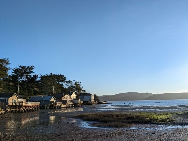 This Historic Oyster Farm in Marshall Lets You Shuck and Slurp Bivalves Right on Tomales Bay
