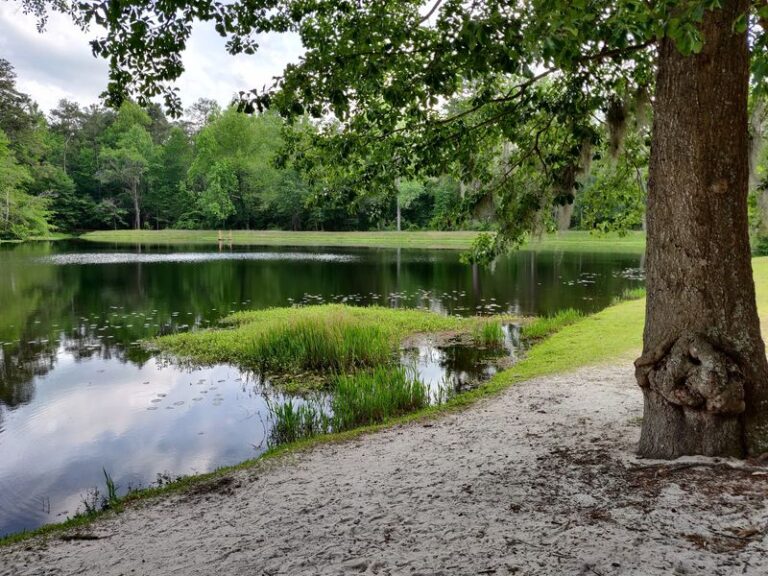 This Storybook South Carolina Park Is One Of The State’s Most Beautiful Hidden Gems