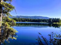 This Peaceful Idaho State Park Keeps Its Motor-Free Lake And Easy Forest Trails Blissfully Quiet