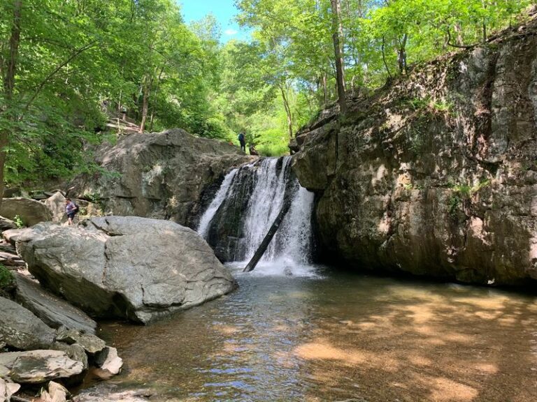 This Compact Corner of a Maryland State Park Hides the State’s Second-Highest Waterfall a Half-Mile From the Lot