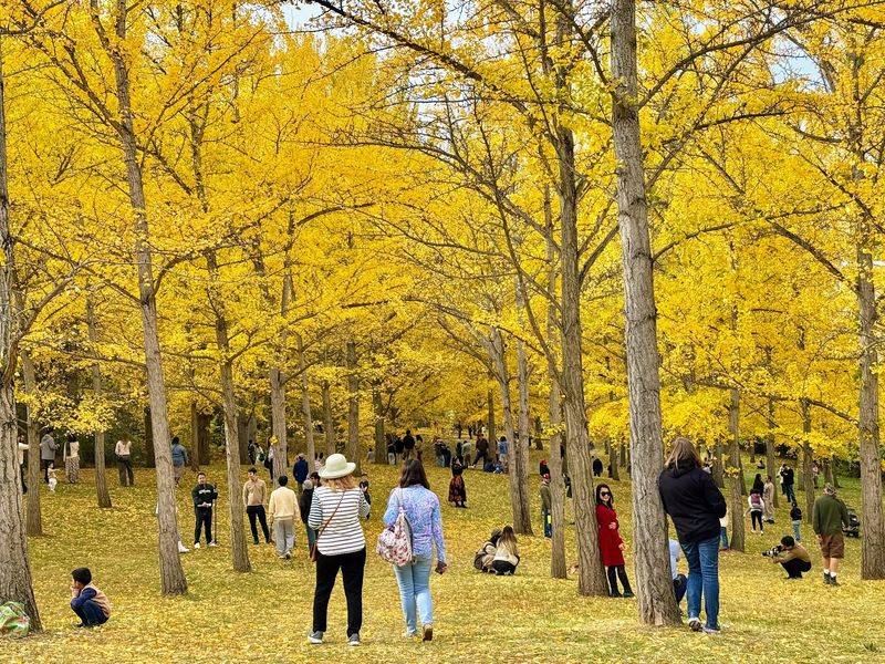 This Enchanting Virginia Nature Preserve Feels Like Stepping Straight Into A Fairytale
