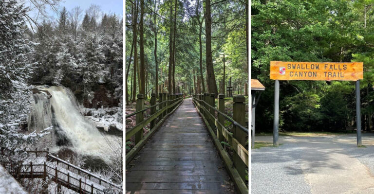 This Serene Maryland State Park Guards the State’s Tallest Waterfall a Short, Easy Walk from the Parking Lot