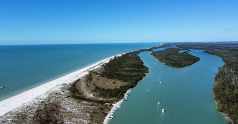 This Florida Barrier Island Is Home To Dolphins, Sea Turtles, And Miles Without Paved Roads
