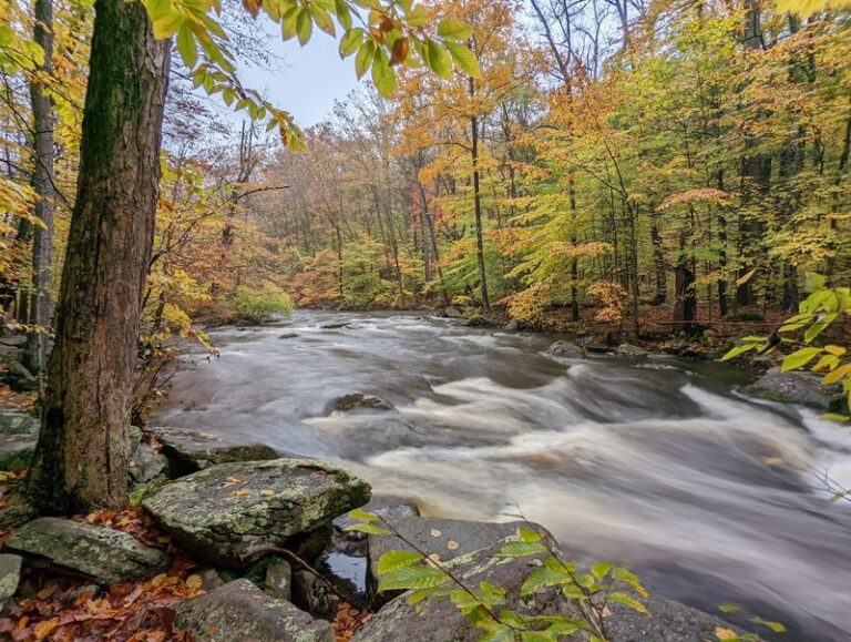 This Compact New Jersey State Park Packs Riverside Waterfalls Into Easy, Uncrowded Trails