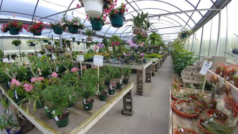 This Charming Indiana Greenhouse Is Filled With Blooming Flowers And Garden Inspiration Year-Round