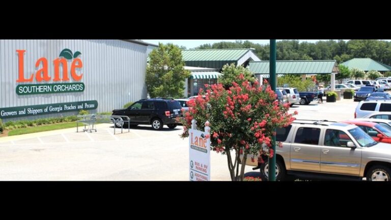 People Drive From All Over Georgia For The Peach Cobbler At This Beloved Roadside Stand