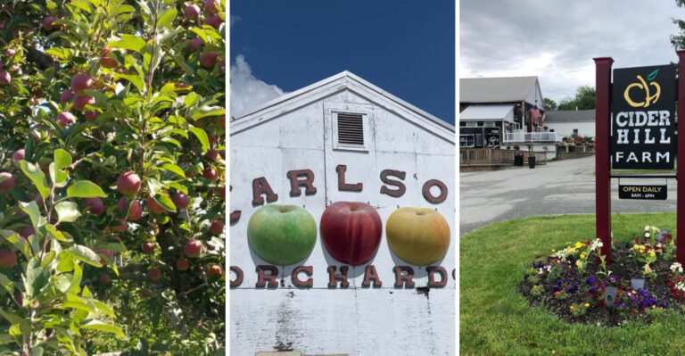 These 9 Massachusetts Farm Stands Sell Apples And Cider Doughnuts Worth The Autumn Drive