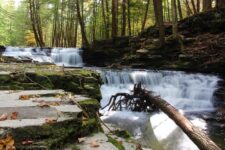 This Tucked-Away Pennsylvania State Park Hides Peaceful Gorge Trails That Lead To Waterfalls