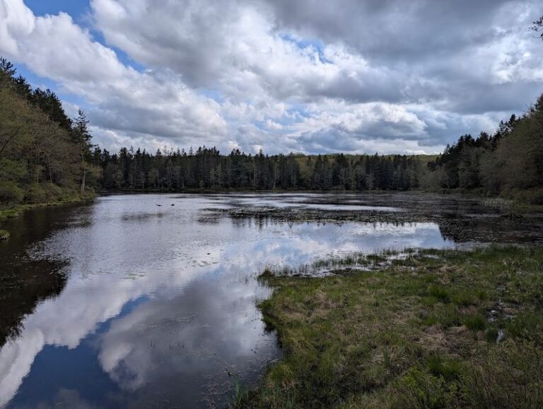This Hidden Pennsylvania State Park Hides A Quiet Lake And Miles Of Peaceful Shoreline Trails