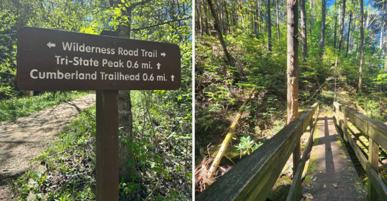 This Kentucky Trail Feels Like Walking Straight Through The Pages Of A Storybook