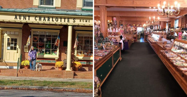 This Retro New Jersey Candy Store Feels Like A Real-Life Willy Wonka Adventure