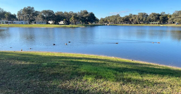 This Florida City Is Where Retirees Can Find Their Own Communities For Under $500 A Month