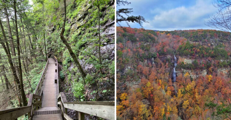 This Georgia Trail Feels Like Walking Straight Through The Pages Of A Classic Storybook