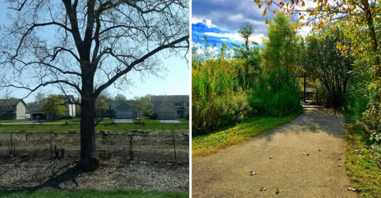 This Mysterious Illinois Town Has People Comparing It To Black Panther’s Wakanda