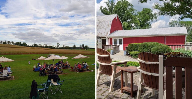These 7 Maryland Breweries Pour Craft Beer On Patios With Wide-Open Country Views