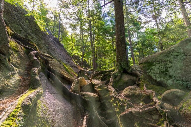 This Tiny Massachusetts State Park Packs More Beauty Than Places Ten Times Its Size