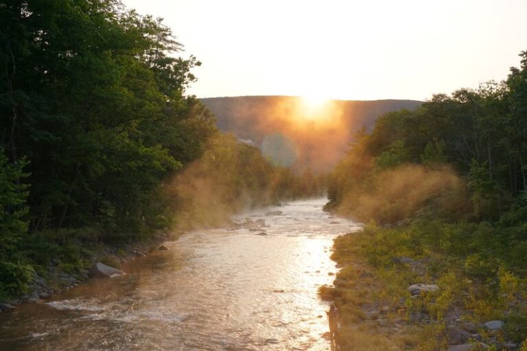 Paddle Through One Of New York’s Most Scenic Rivers On This Easygoing Late-Summer Float
