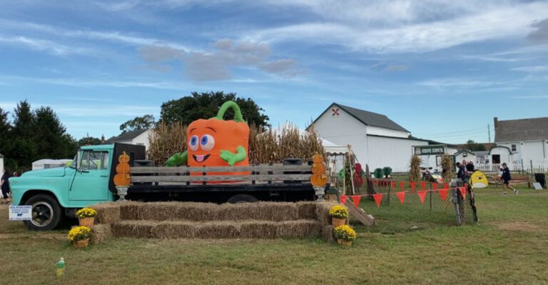 These 7 New Jersey Corn Mazes And Pumpkin Farms Are Worth The Drive This Fall