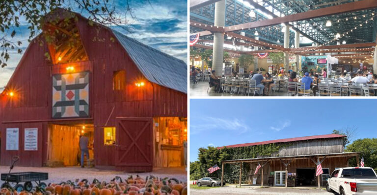 These 8 Tennessee Farm Markets Are Worth Driving Hours To Browse