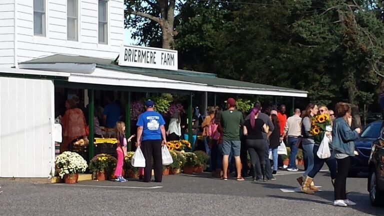 New Yorkers Line Up At This Riverhead Farm Stand For The Homemade Cream Pies Made From Fruit Grown On Site