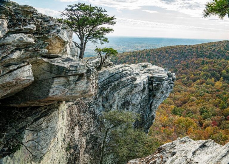 This Hidden North Carolina State Park Looks Like Something Straight Out Of A Fantasy Novel