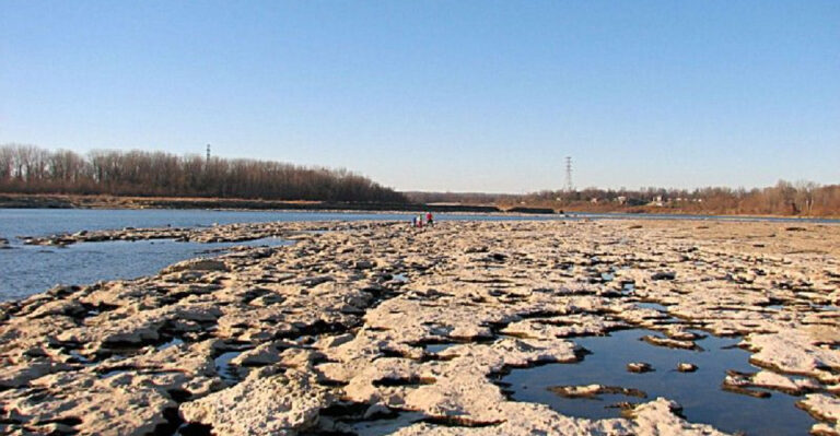Walk Across The World’s Largest Exposed Fossil Beds At This Hidden Indiana State Park