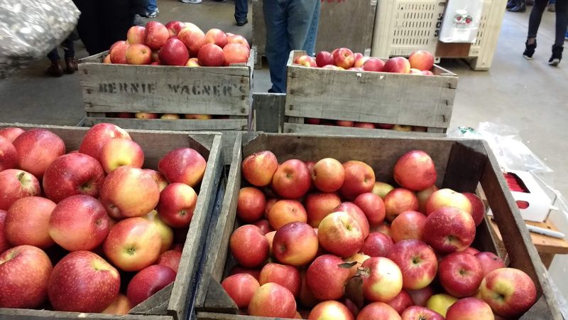 A Barn Full Of Apple Varieties