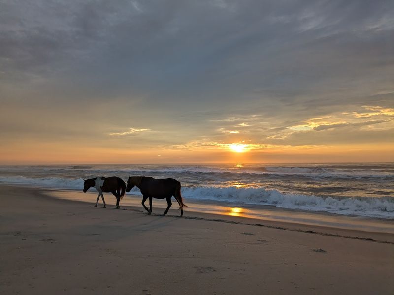 A Barrier Island Escape With A Simple Address