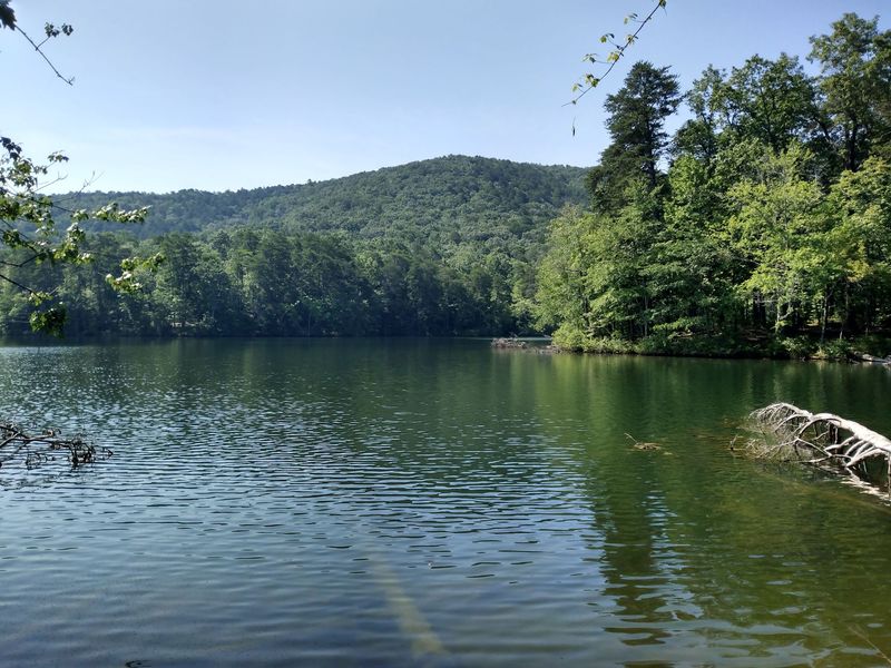 A Calm Lake for Paddling and Fishing