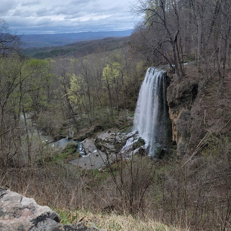 A Cascade With a Presidential Footnote
