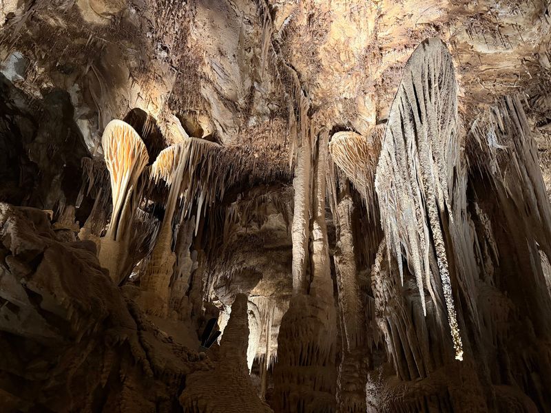 A Cave With Deep Roots A Cave With Deep Roots