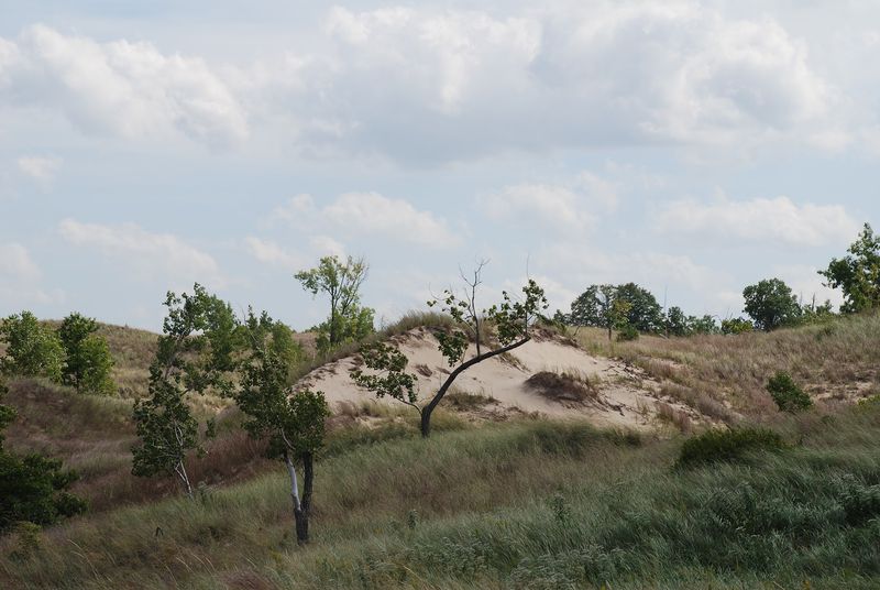 A Century of Saving the Sand