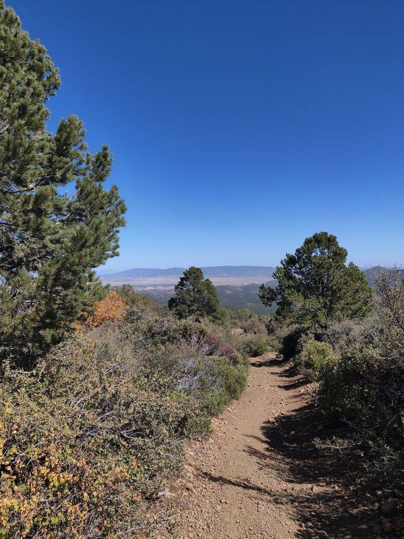 A Cooler Climate Above the Desert A Cooler Climate Above the Desert