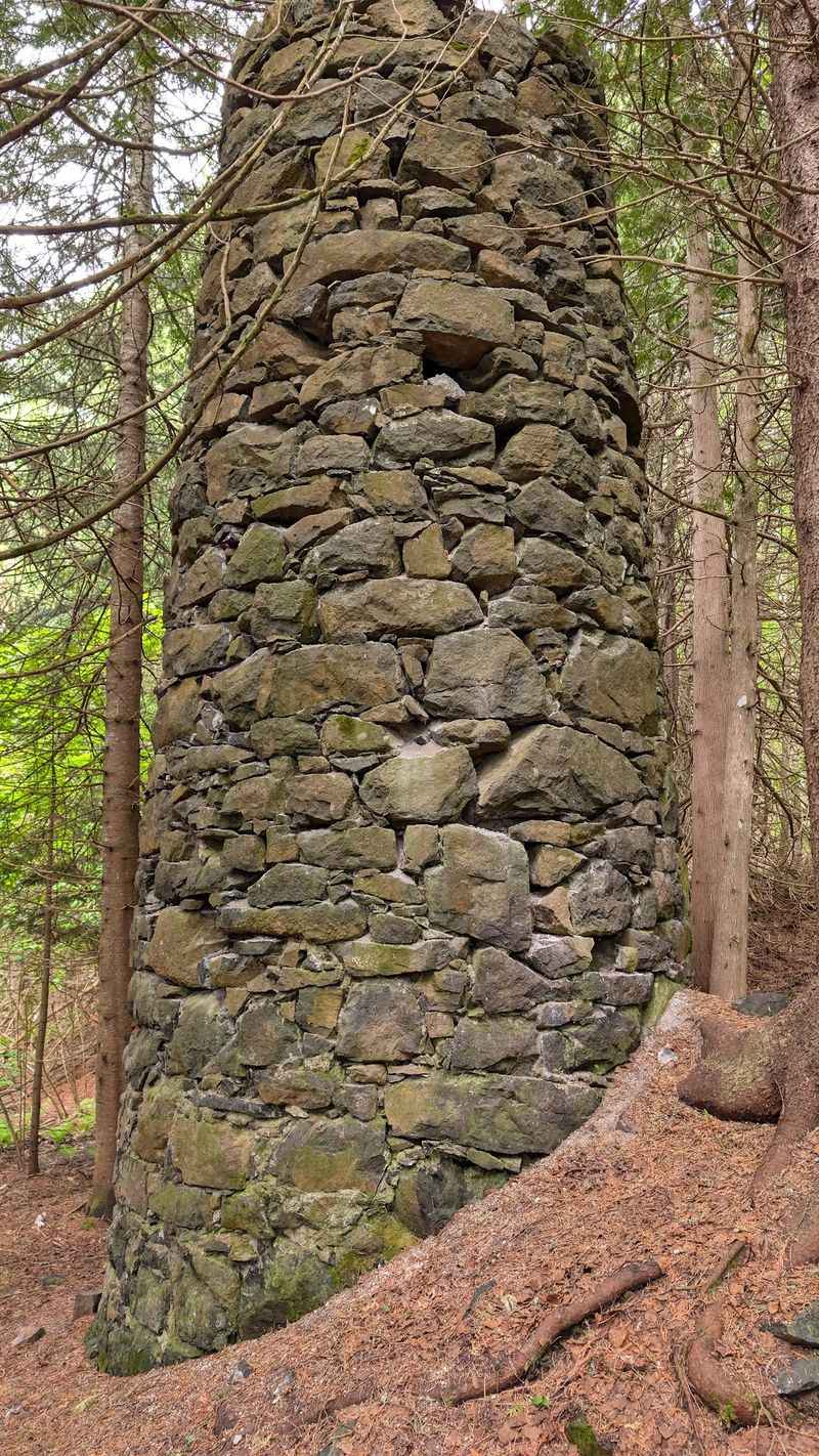A Copper Boomtown That The Forest Swallowed