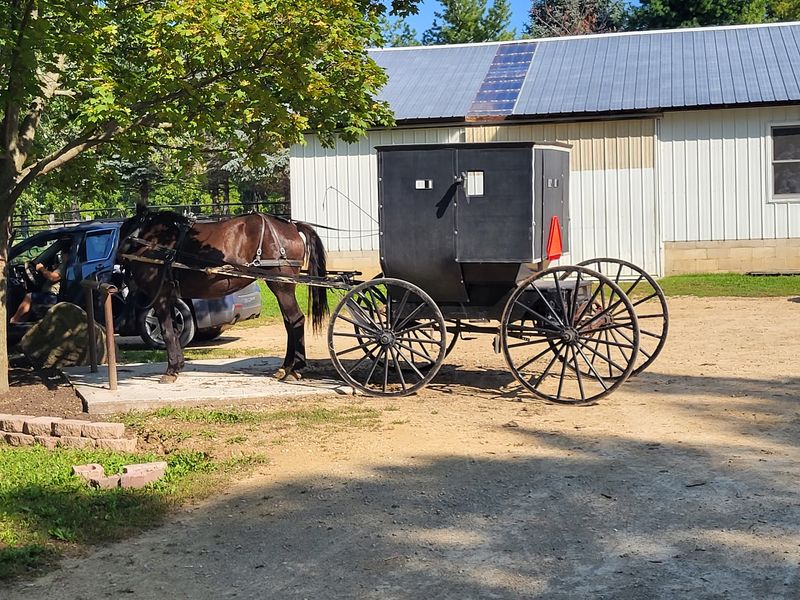 A Country Bakery Hidden in Amish Farmland A Country Bakery Hidden in Amish Farmland