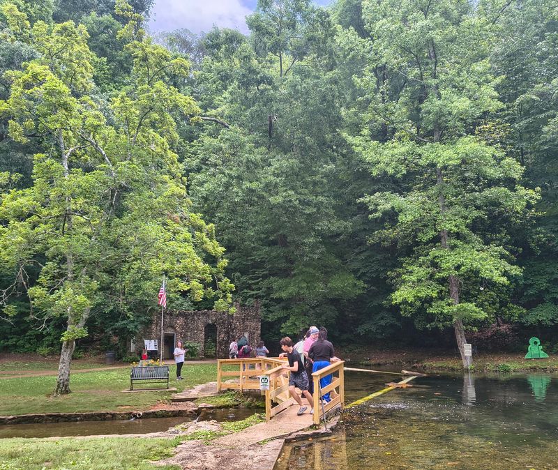 A Creek Made for Wading and Crawdad Hunting A Creek Made for Wading and Crawdad Hunting