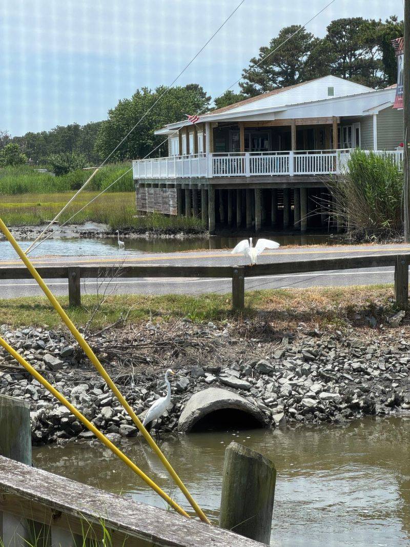 A Creekside Address Worth Marking Down