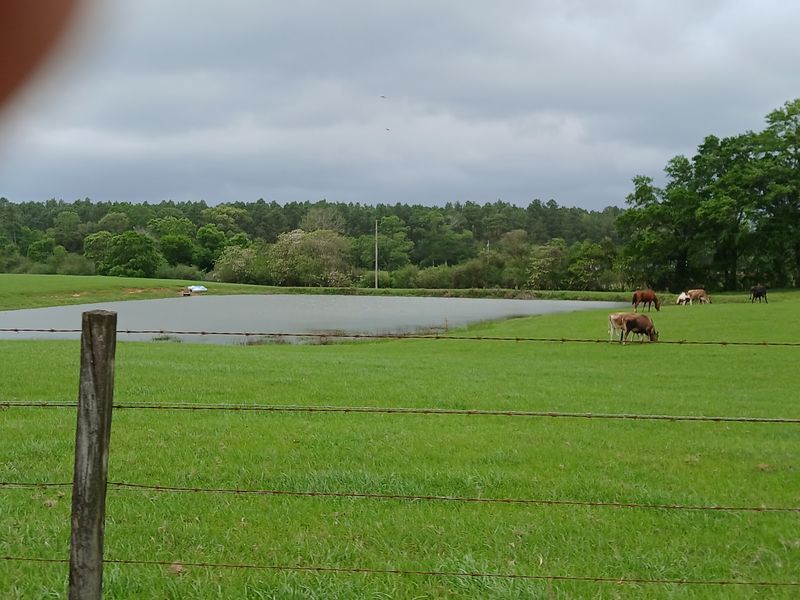 A Dairy Farm at the End of a Country Drive