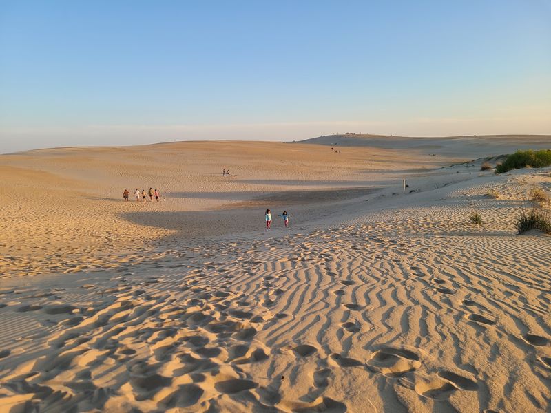 A Desert Tucked Into Nags Head A Desert Tucked Into Nags Head