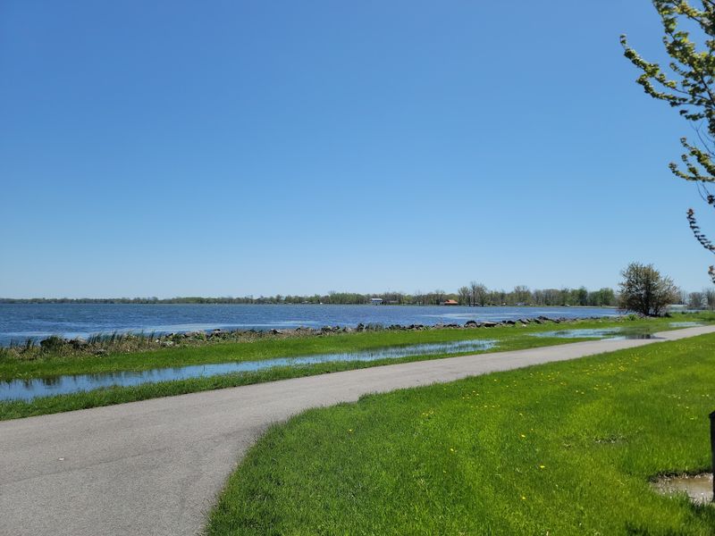 A Dog Park Right by the Beach