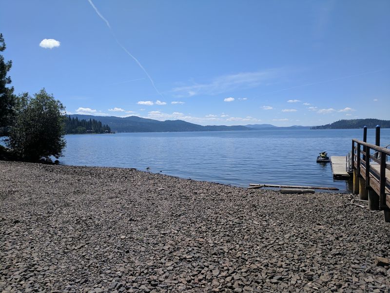 A Doggie Swim Beach For Furry Friends