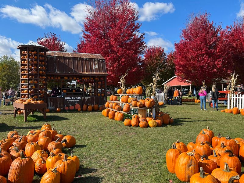 A Fall Tradition Decades in the Making