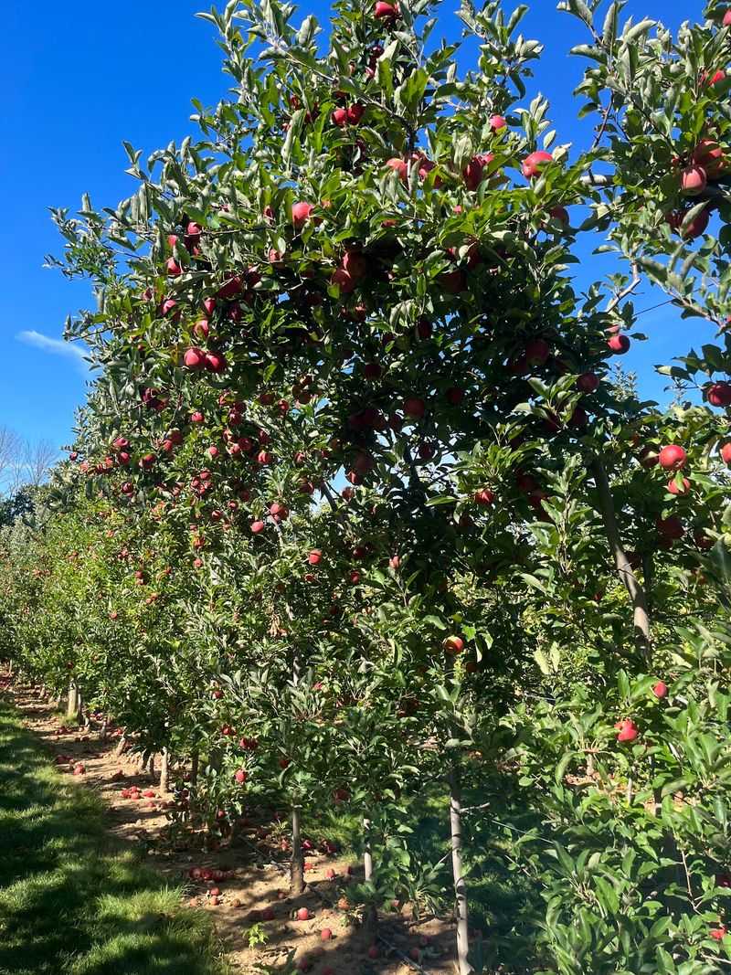 A Family Farm That Keeps Growing A Family Farm That Keeps Growing