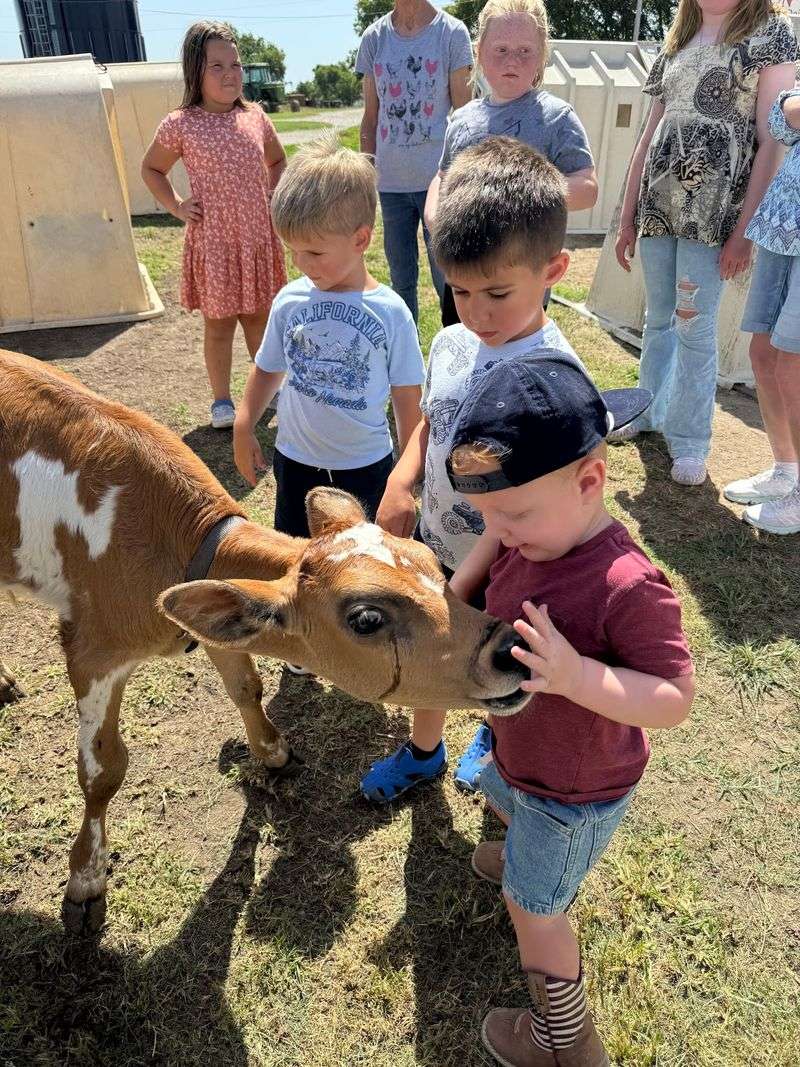 A Family Farm With Real Roots
